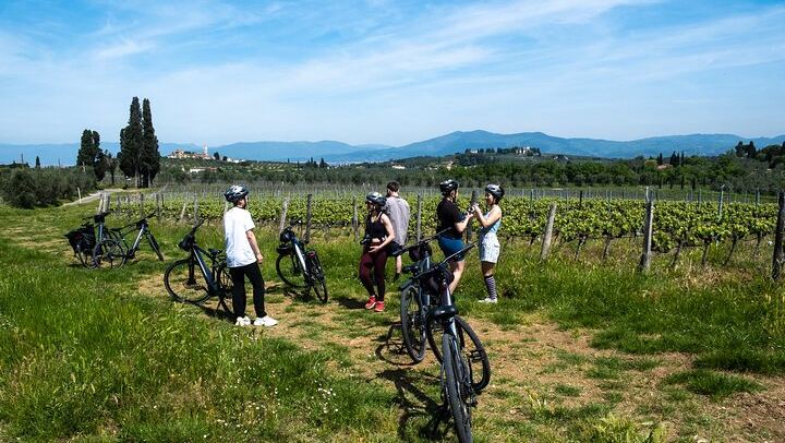 Florence E-Bike Day in Chianti Classico with Farm Lunch, Wine and Oil Tasting (3/12)