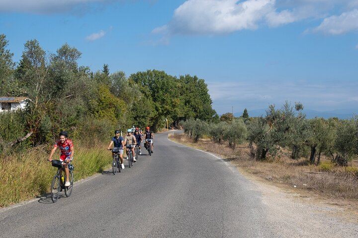 Florence E-Bike Day in Chianti Classico with Farm Lunch, Wine and Oil Tasting (12/12)