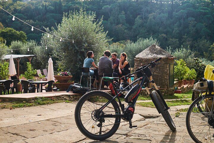 Florence E-Bike Day in Chianti Classico with Farm Lunch, Wine and Oil Tasting (7/12)