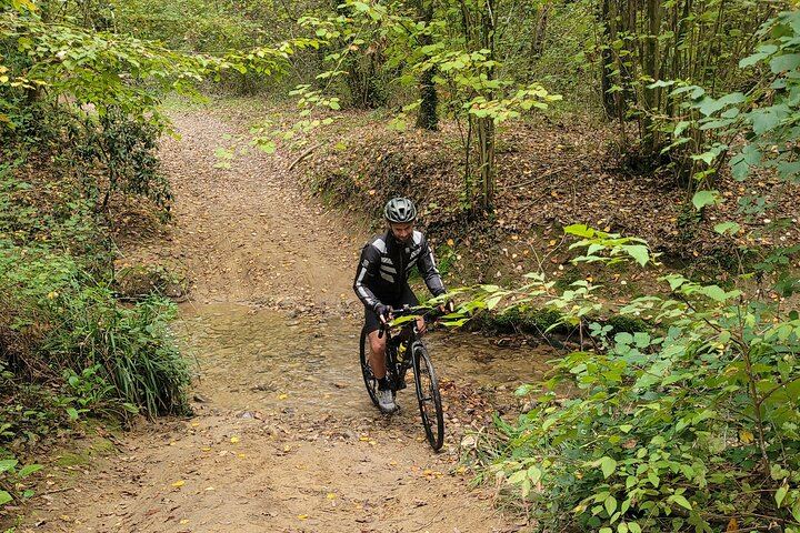 Florence E-Bike Day in Chianti Classico with Farm Lunch, Wine and Oil Tasting (6/12)