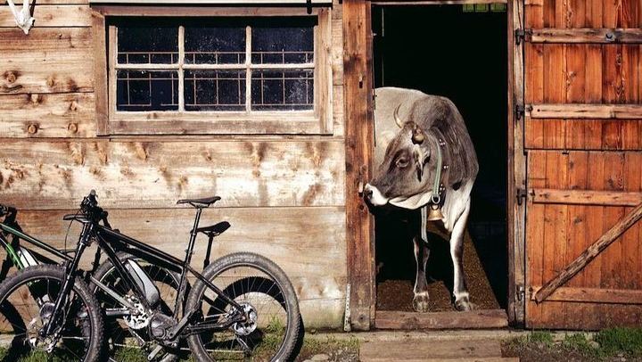 Sorrento E-Bike Food and Wine Tour to a Massa Lubrense Farm with Mozzarella and Limoncello (1/11)