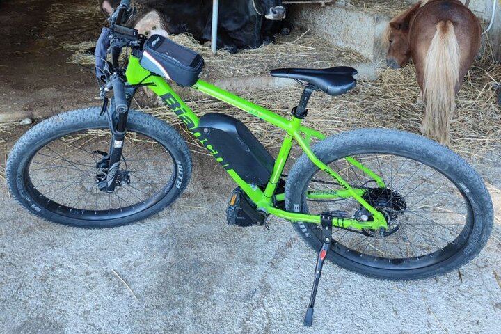 Sorrento E-Bike Food and Wine Tour to a Massa Lubrense Farm with Mozzarella and Limoncello (10/11)