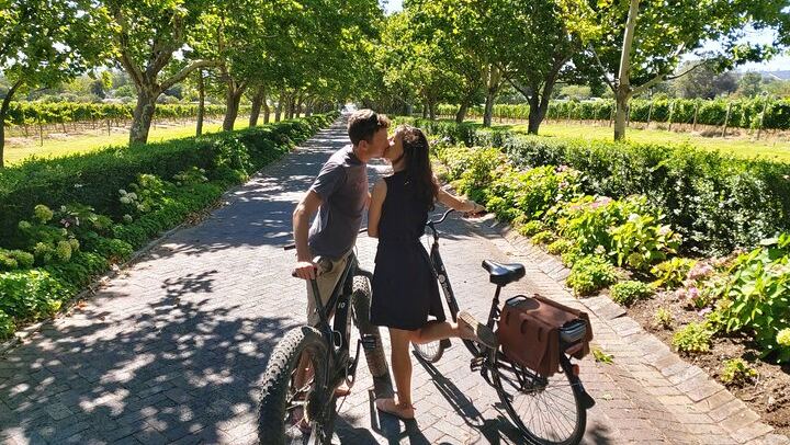 Vinebikes E-Bike Wine Tour from Lanzerac Estate, Stellenbosch Half Day (2/3)