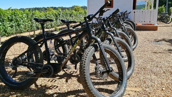 Vinebikes E-Bike Wine Tour from Lanzerac Estate, Stellenbosch Half Day (1/3)
