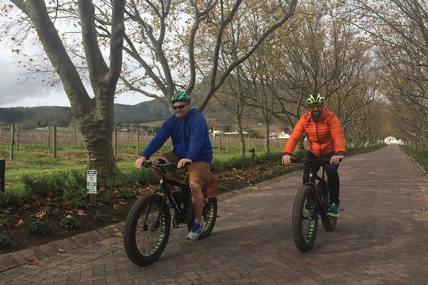 Vinebikes E-Bike Wine Tour from Lanzerac Estate, Stellenbosch Half Day
