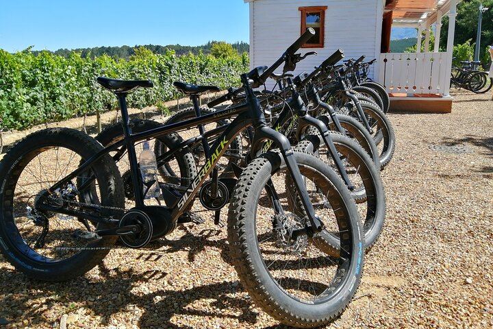 Vinebikes E-Bike Wine Tour from Lanzerac Estate, Stellenbosch Half Day (1/3)