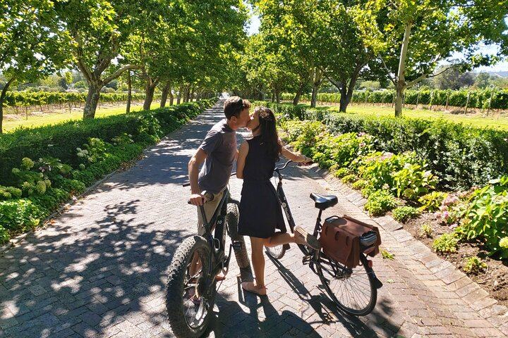 Vinebikes E-Bike Wine Tour from Lanzerac Estate, Stellenbosch Half Day (2/3)
