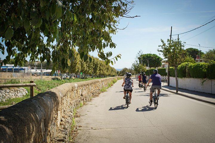 6-Hour Alella Wine Day: E-Bike One Way, Sailing the Other, with Tasting (5/12)