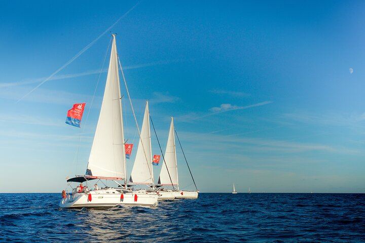 6-Hour Alella Wine Day: E-Bike One Way, Sailing the Other, with Tasting (10/12)