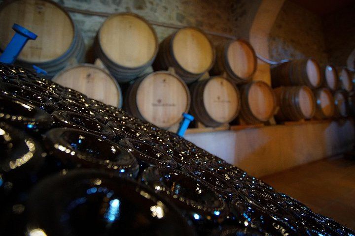 6-Hour Alella Wine Day: E-Bike One Way, Sailing the Other, with Tasting (11/12)
