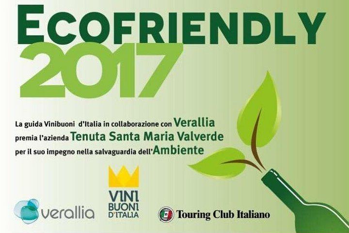 Valpolicella E-Bike Tour with Winemaker Nicola and Amarone Tasting, Santa Maria Valverde (6/12)
