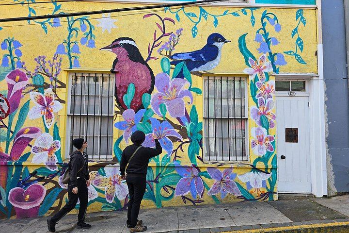 Valparaíso Street Art Downhill Walk and Casablanca Wines, Max 8 Guests from Santiago (3/12)