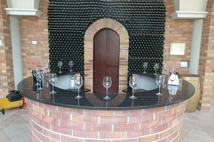 Private Rioja Wine Day from San Sebastian: Two to Three Wineries, Three-Course Lunch (7/12)