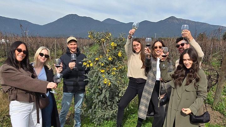 Small-Group Valparaiso Hills Walk with Veramonte Organic and Viñamar Wine Tastings (3/5)