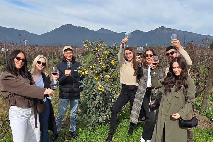 Small-Group Valparaiso Hills Walk with Veramonte Organic and Viñamar Wine Tastings (3/5)