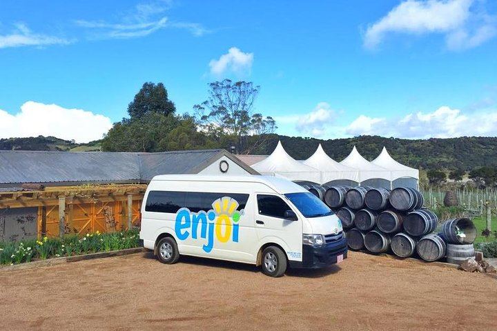 Waiheke Island Wine Tour by Enjoi NZ: 3 to 4 Award-Winning Vineyards, Lunch Stop (1/12)