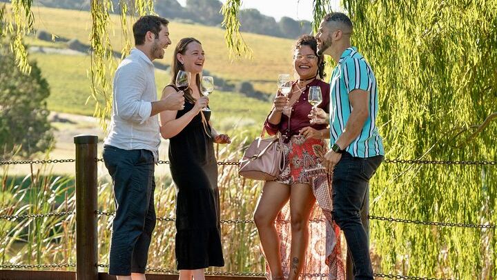 Cape Winelands Day Tour from Cape Town: Stellenbosch, Franschhoek and Paarl Tastings (4/12)