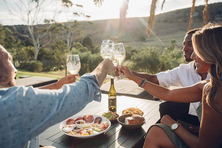 Waiheke Island Wine Tour from Auckland: 3 Vineyards and Beachfront Lunch (4/12)