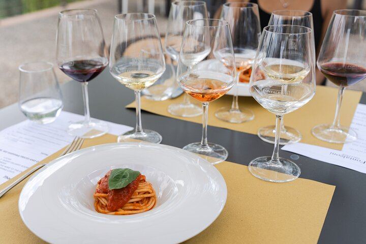 The Tour Guy Tuscany Day Trip from Florence: Siena, Six-Wine Chianti Lunch, San Gimignano (10/12)