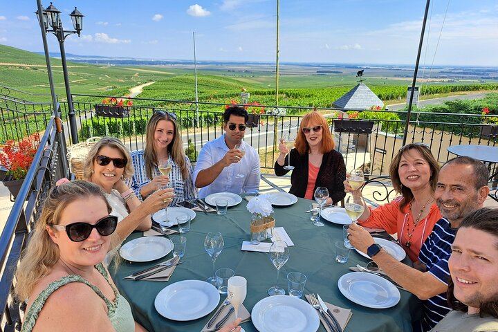 Champagne Day Trip from Paris: Hotel Pickup, Cellars, Vineyard and Lunch, 8 Tastings (4/12)