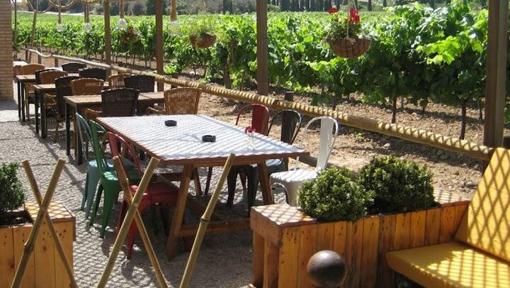 Montserrat and Penedes Cava Winery Small-Group Day by Minivan with Farmhouse Lunch (3/12)