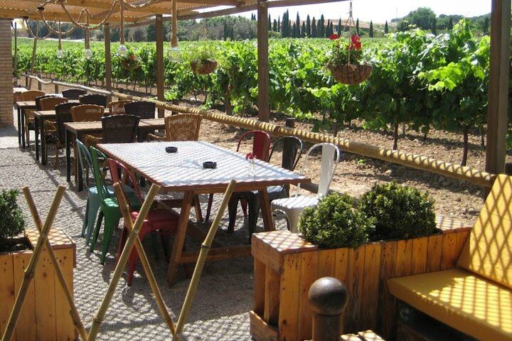Montserrat and Penedes Cava Winery Small-Group Day by Minivan with Farmhouse Lunch (3/12)