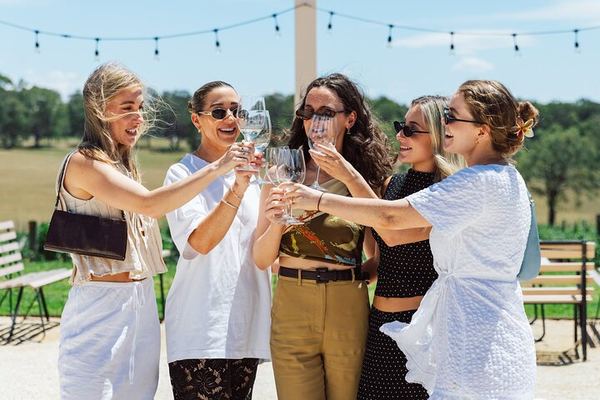 Hunter Valley Wine Tasting Tour from Sydney: Iron Gate, Sobel's, Gin and Olive Centre