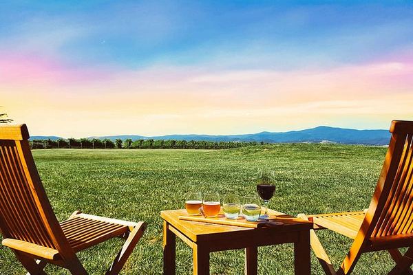 Yarra Valley Four-Winery Tour with Two-Course Lunch, Gin or Beer Upgrade