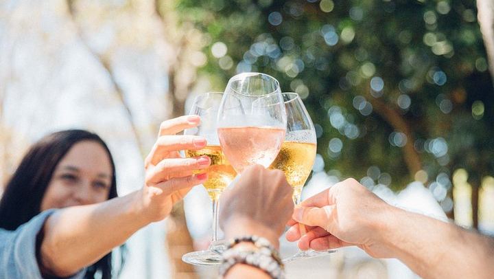 Auckland Ferry Day to Waiheke: Cable Bay, Batch, Stonyridge and Mudbrick Vineyards (2/12)