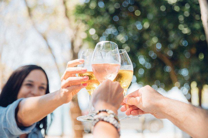 Auckland Ferry Day to Waiheke: Cable Bay, Batch, Stonyridge and Mudbrick Vineyards (2/12)