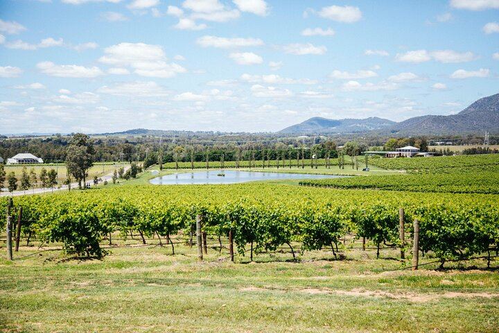 Hunter Valley Wine Tasting Tour from Sydney: Iron Gate, Sobel's, Gin and Olive Centre (2/12)