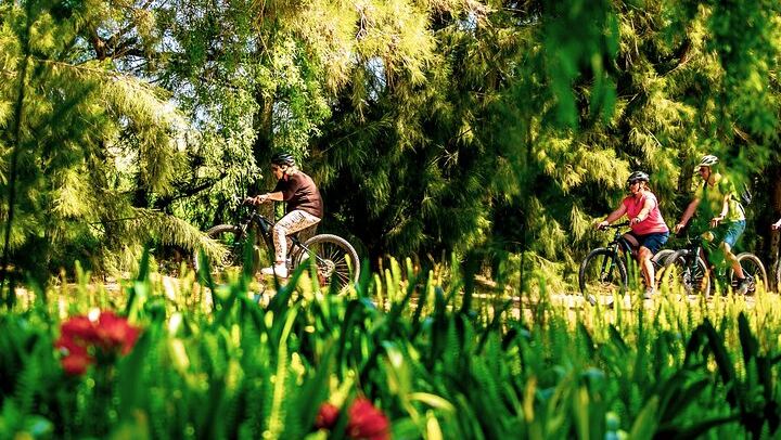 Stellenbosch Half-Day Mountain Bike Winelands Tour with Wine Tasting Stops (3/5)