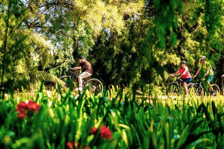 Stellenbosch Half-Day Mountain Bike Winelands Tour with Wine Tasting Stops (3/5)
