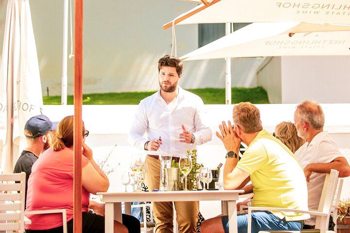 Stellenbosch Luxury E-Bike Winelands Tour with Premium Tastings and Lunch (3/5)