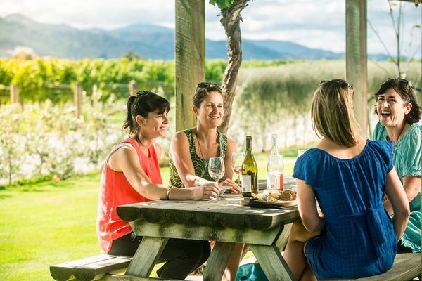 Full-Day Marlborough Winemakers Tour: 4-6 Family-Owned Cellar Doors, Local Guide