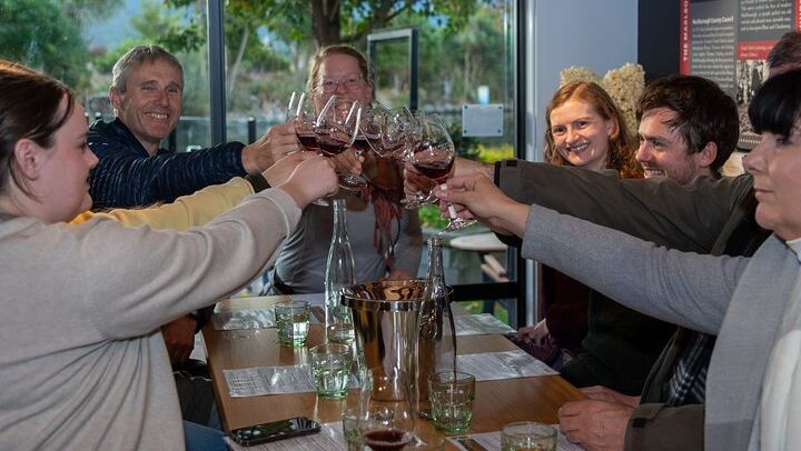 Full-Day Marlborough Wine Tasting Tour, Door to Door from Picton or Blenheim (1/10)