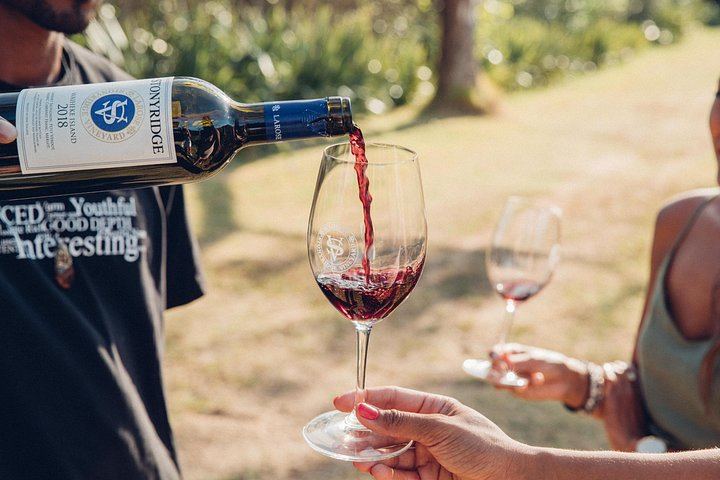 Auckland Ferry Day to Waiheke: Cable Bay, Batch, Stonyridge and Mudbrick Vineyards (5/12)