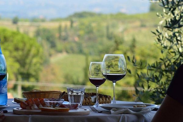 Family Vineyard Visit near San Gimignano with Appetizers and Four Wines