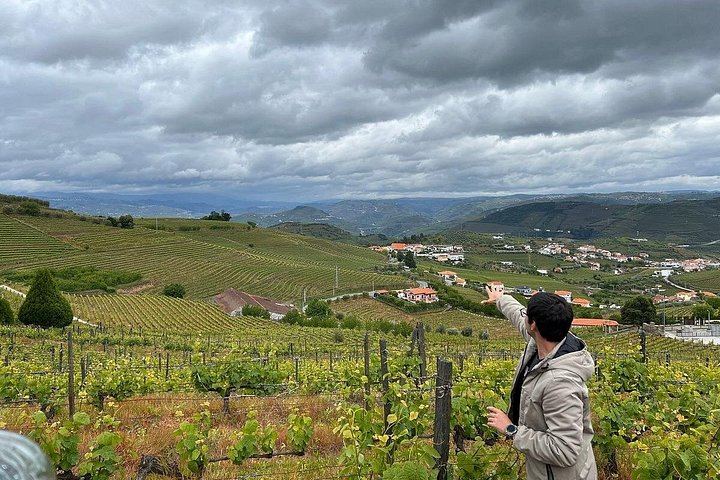 Small-Group Douro Valley Day from Porto: Four Wineries, Ten Wines and Five Olive Oils (5/12)