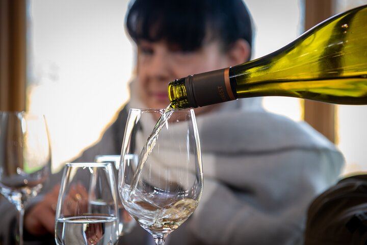 Full-Day Marlborough Wine Tasting Tour, Door to Door from Picton or Blenheim (3/10)