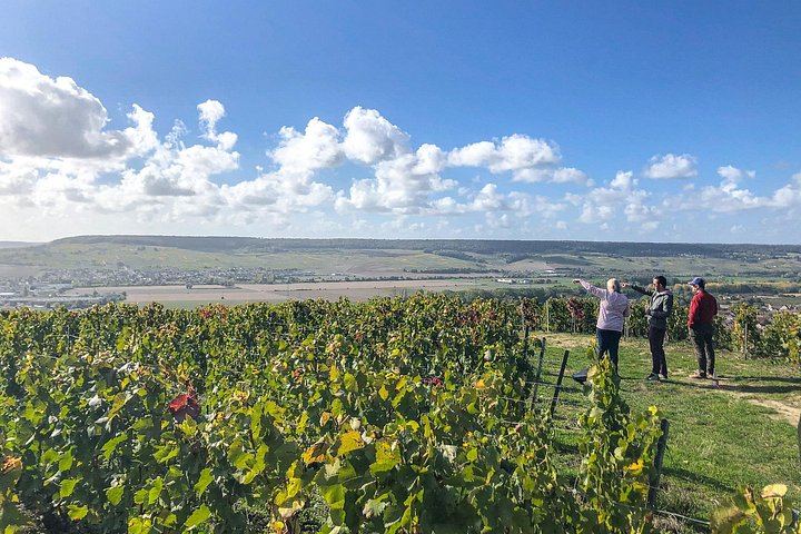 Private VIP Champagne Day from Paris: Eight Tastings, Michelin Lunch, Boutique Estate (7/11)
