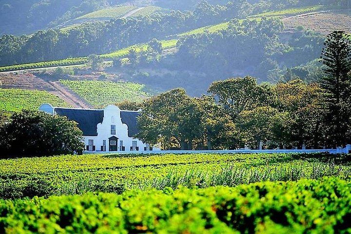 Franschhoek Wine Tram Day Tour from Central Cape Town, Tram Ticket and Hotel Transfers (1/12)