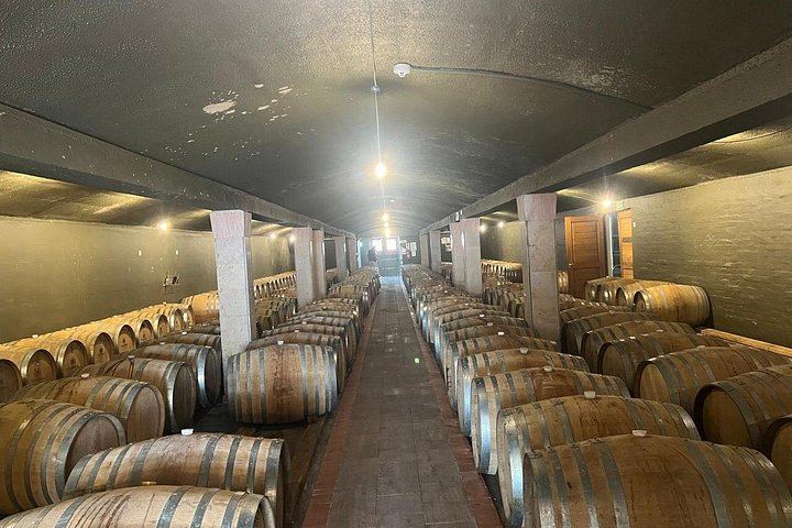 Franschhoek Wine Tram Day Tour from Central Cape Town, Tram Ticket and Hotel Transfers (3/12)