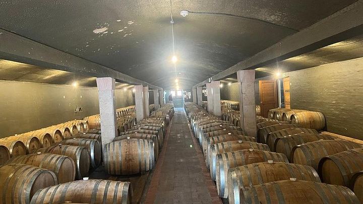 Franschhoek Wine Tram Day Tour from Central Cape Town, Tram Ticket and Hotel Transfers (3/12)