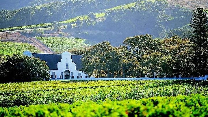 Franschhoek Wine Tram Day Tour from Central Cape Town, Tram Ticket and Hotel Transfers (1/12)