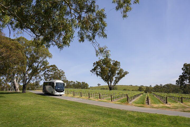 All-Inclusive Barossa Food and Wine Day Tour: Pindarie, Lambert Estate, Chateau Tanunda (6/6)