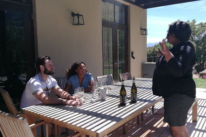Stellenbosch Guided Vineyard Walk from Zorgvliet to Tokara, Two Tastings and Lunch (3/7)