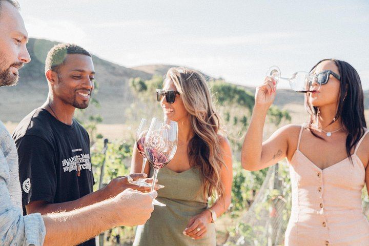 Waiheke Island Wine Tour from Auckland: 3 Vineyards and Beachfront Lunch (8/12)