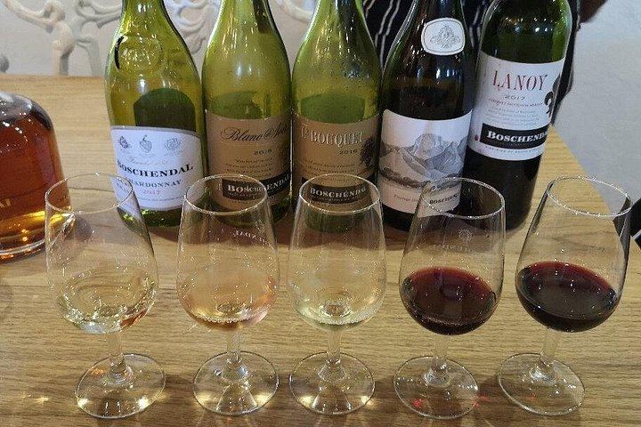 Franschhoek Wine Tram Hop-On Hop-Off Day from Cape Town: Navy Line, Coach Transfer (3/8)