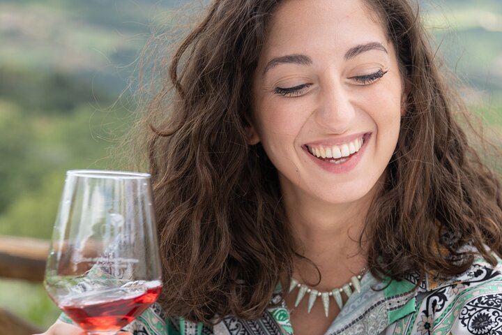 Chianti Classico Hiking Day from Florence: 7 km Walk, 3 Organic Wineries and Lunch (1/12)
